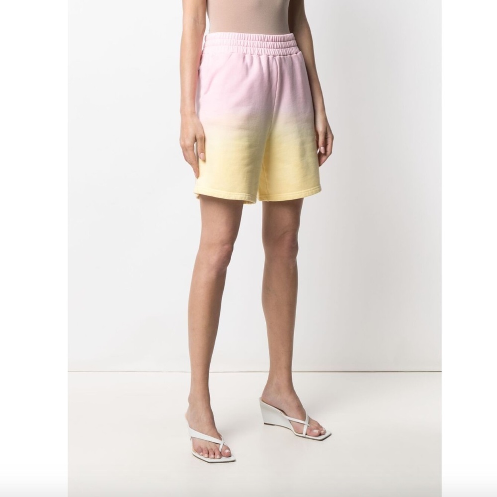 NWT Apparis Roxy ombre track shorts
